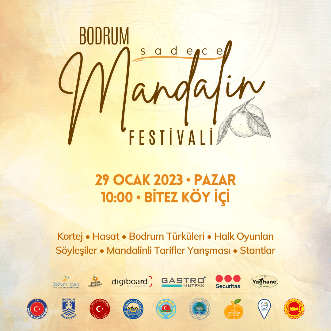 BODRUM_ Bodrum Mandalin Festivali için geri sayım başladı. 