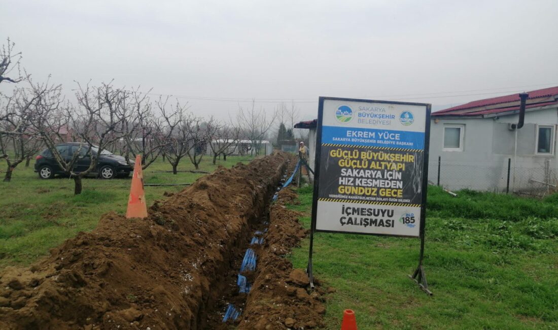 Büyükşehir Belediyesi, Pamukova Fevziye