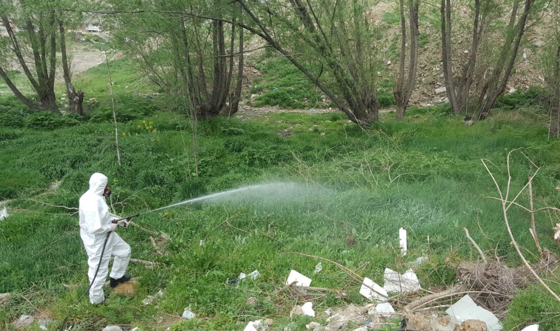 Çankaya Belediyesi bahar aylarının