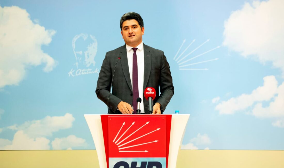 CHP Genel Başkan Yardımcısı