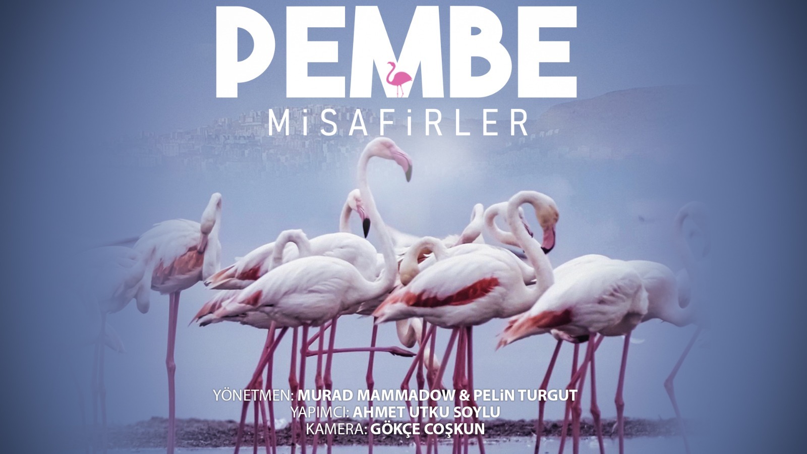 ÇİĞLİ - PEMBE MİSAFİRLER