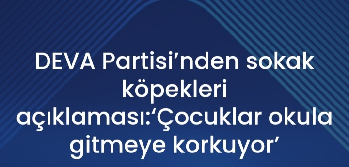 DEVA Partisi’nden sokak köpekleri açıklaması: "Çocuklar okula gitmeye korkuyor"