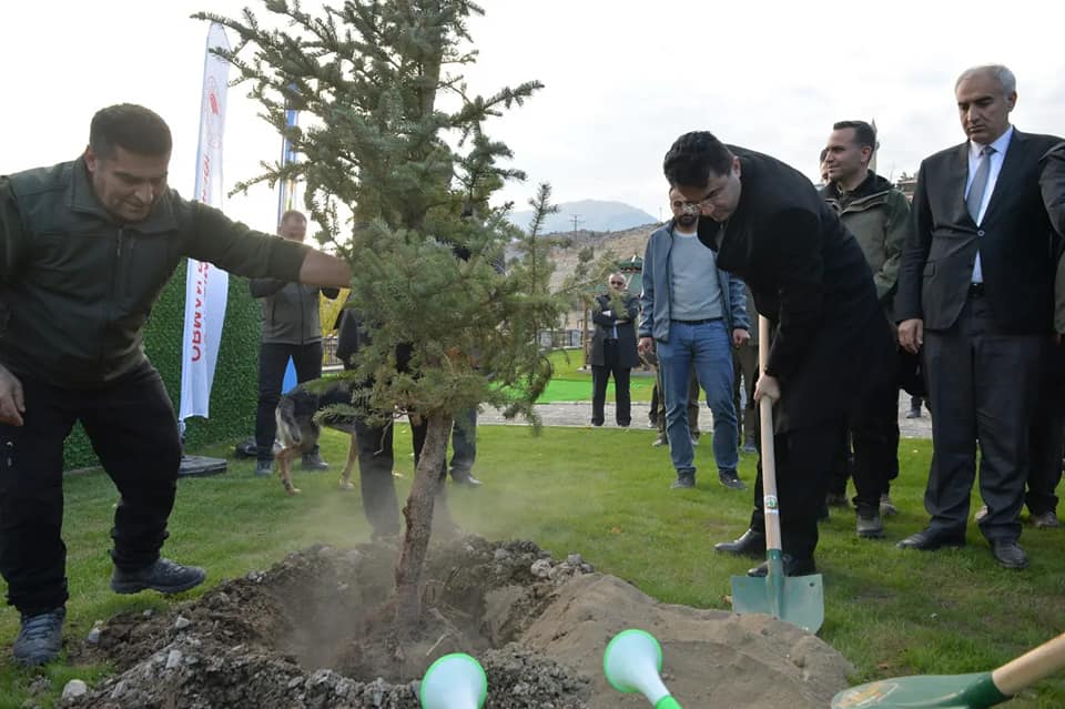 Doğa harikası Tortum Şelalesi'nin çehresi yeni dikilen fidanlarla değişecek 