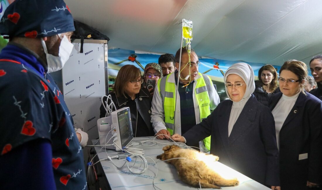 BAŞKENT POSTASI GÜRKAN GENÇ