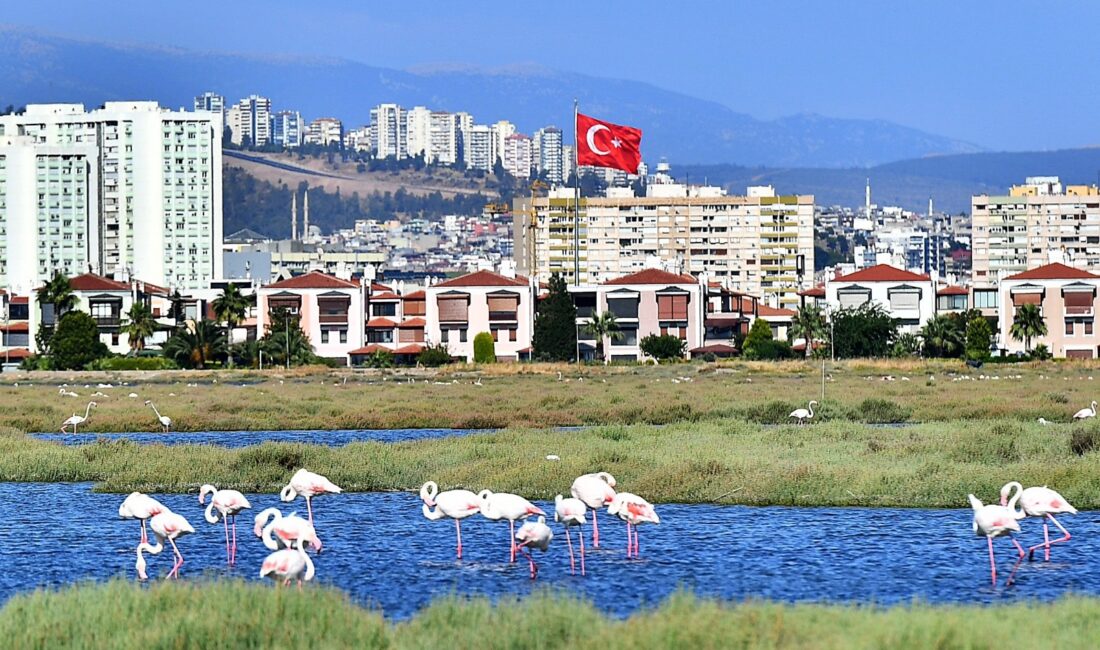 Başkent Postası Gürkan Genç