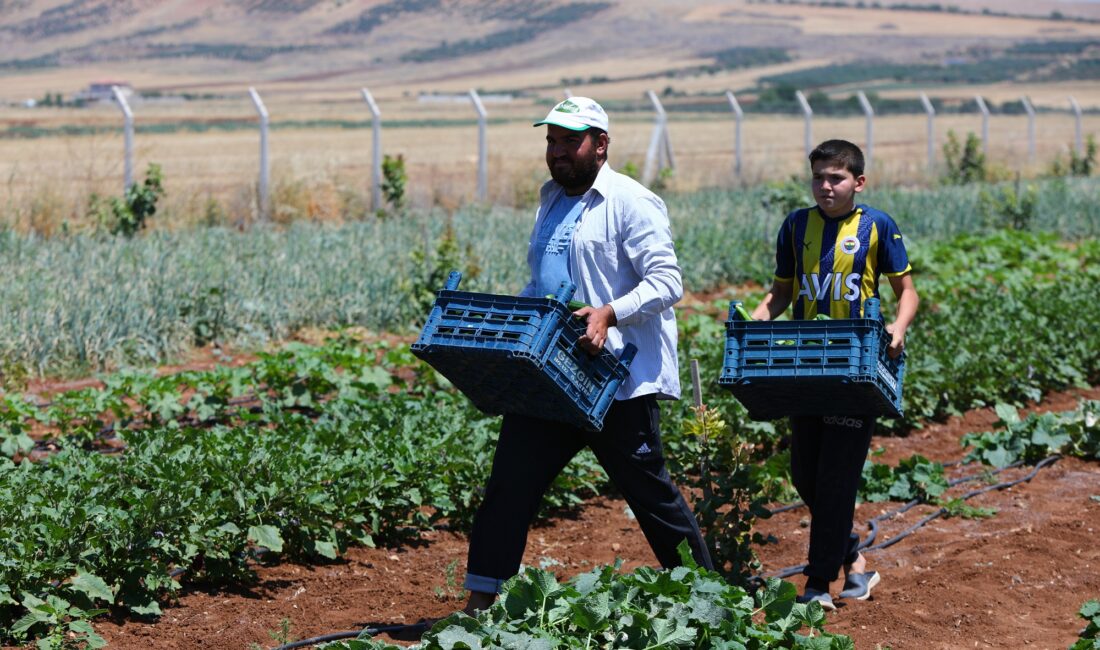 başkentpostası gürkan genç