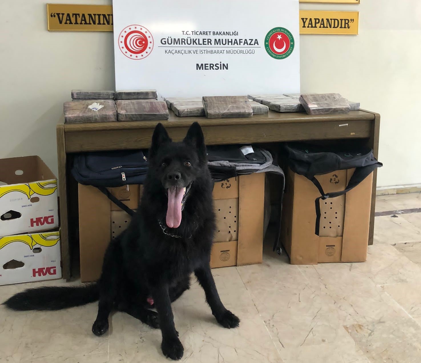 Gümrük Muhafaza Ekipleri Mersin Limanı’nda Uyuşturucuya Geçit Vermiyor