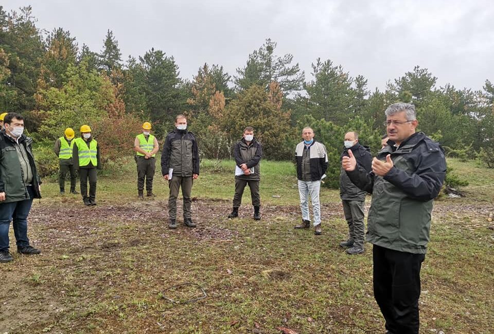 Kastamonu'nun Hanönü ilçesinde Orman