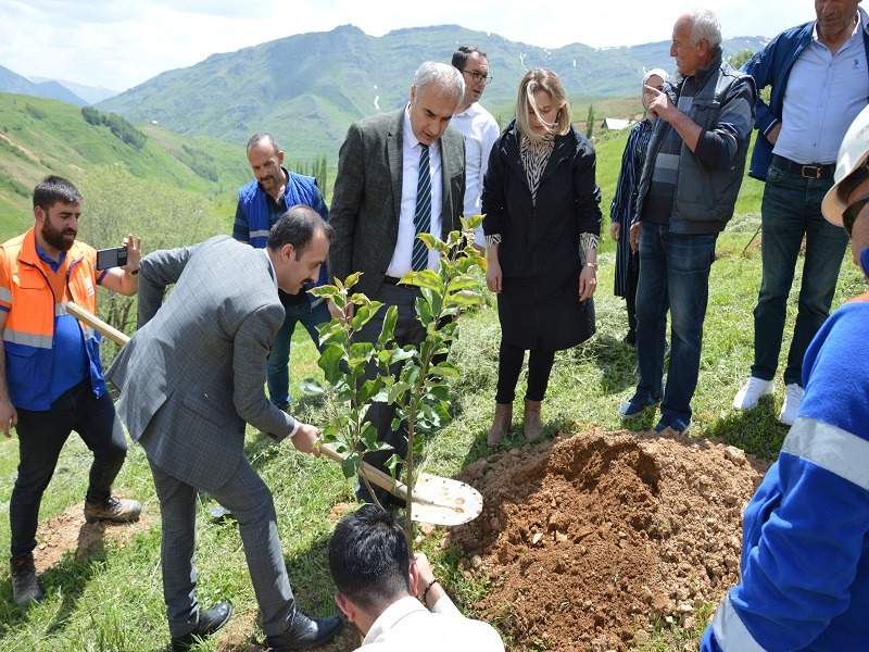 İSPİR DAHA DA YEŞİLLENECEK