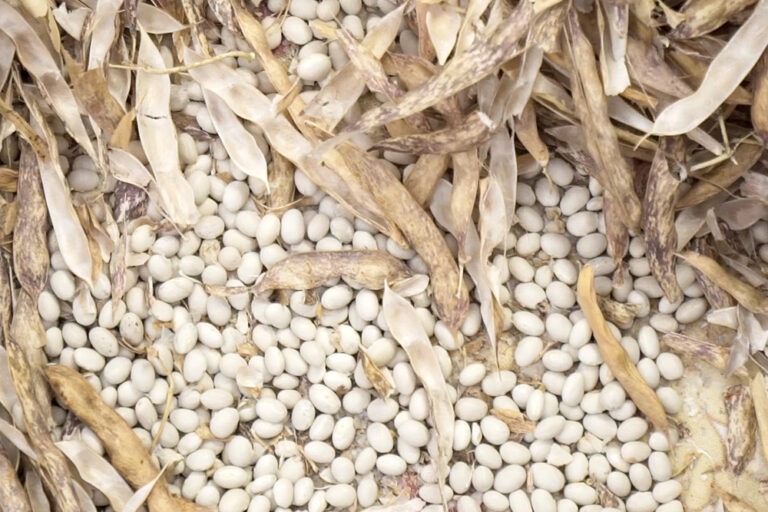 İSPİR HANIMELİ KADIN KOOPRATİFİ ÜRÜN BİLGİLERİ