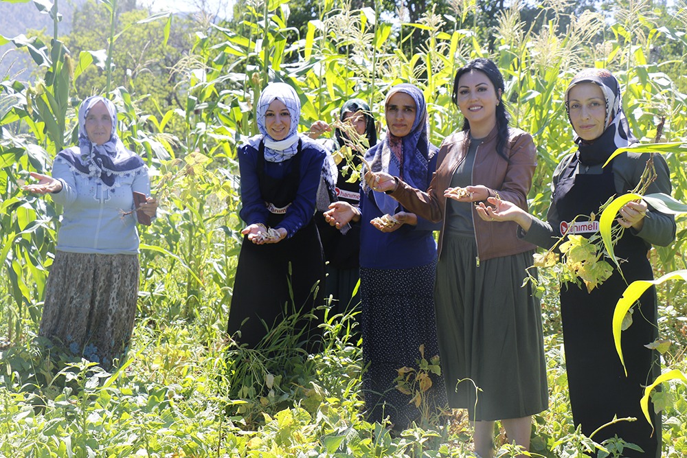 İSPİR'E HANIMELİ DEĞDİ