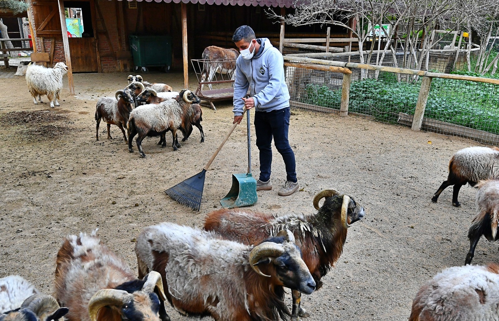 İZMİR – ORGANİK ATIKLAR GÜBREYE DÖNÜŞÜYOR