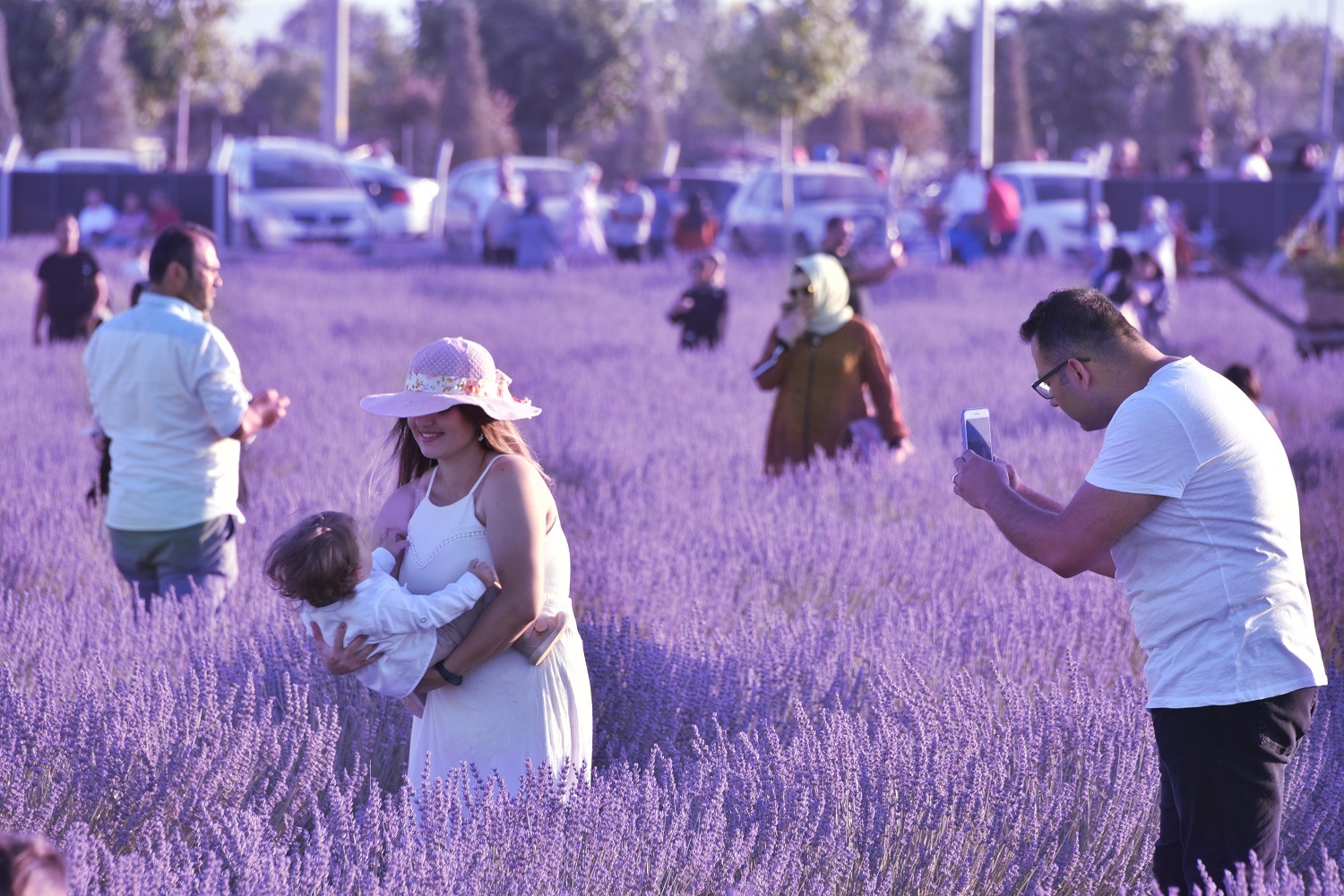 KARATAY LAVANTA GÜNLERİ'NE 2 GÜNDE 120 BİN KİŞİ KATILDI