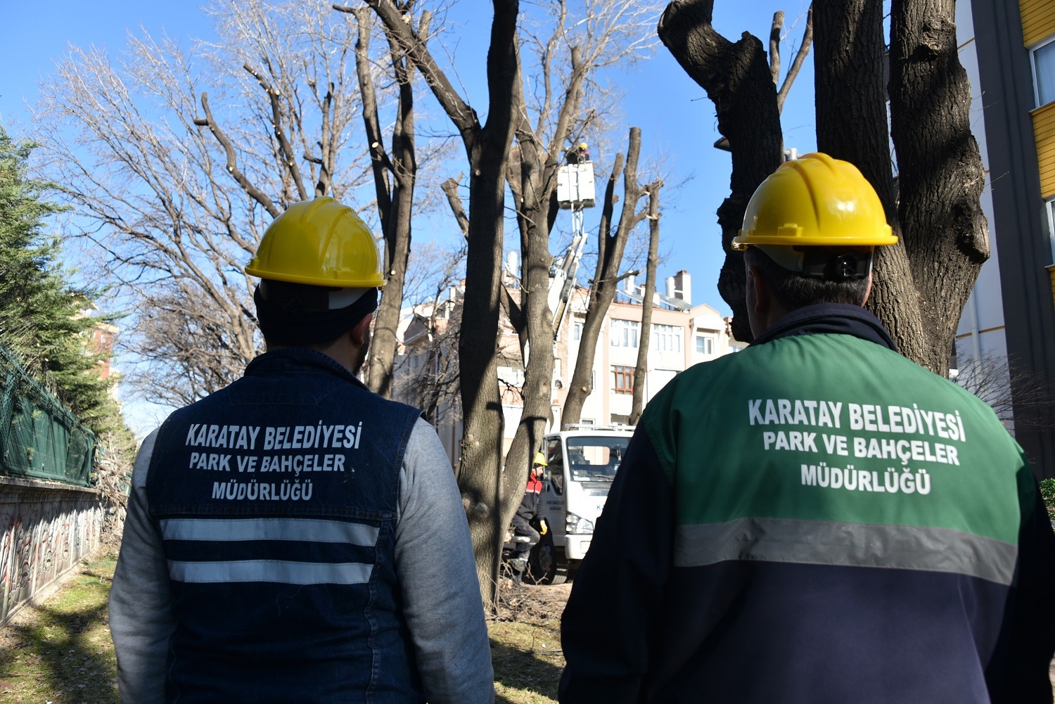 KARATAY'DA AĞAÇLANDIRMA ÇALIŞMALARI SÜRÜYOR