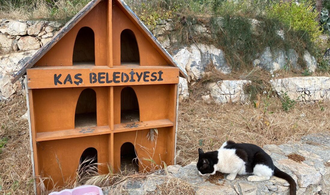 Antalya’nın Kaş ilçesinde belediye