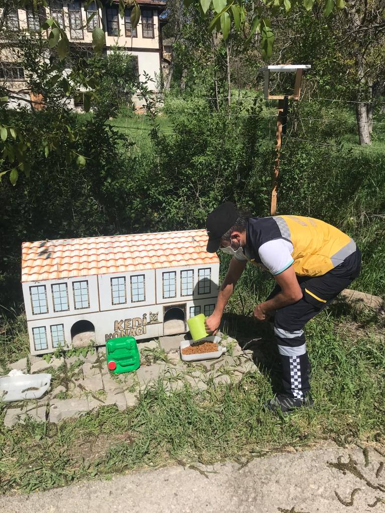 Kastamonu Belediyesi tam kapanma sürecinde sokak havanlarını unutmadı