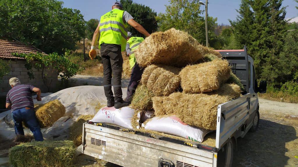 Kepez, afetzede besiciler için görevde