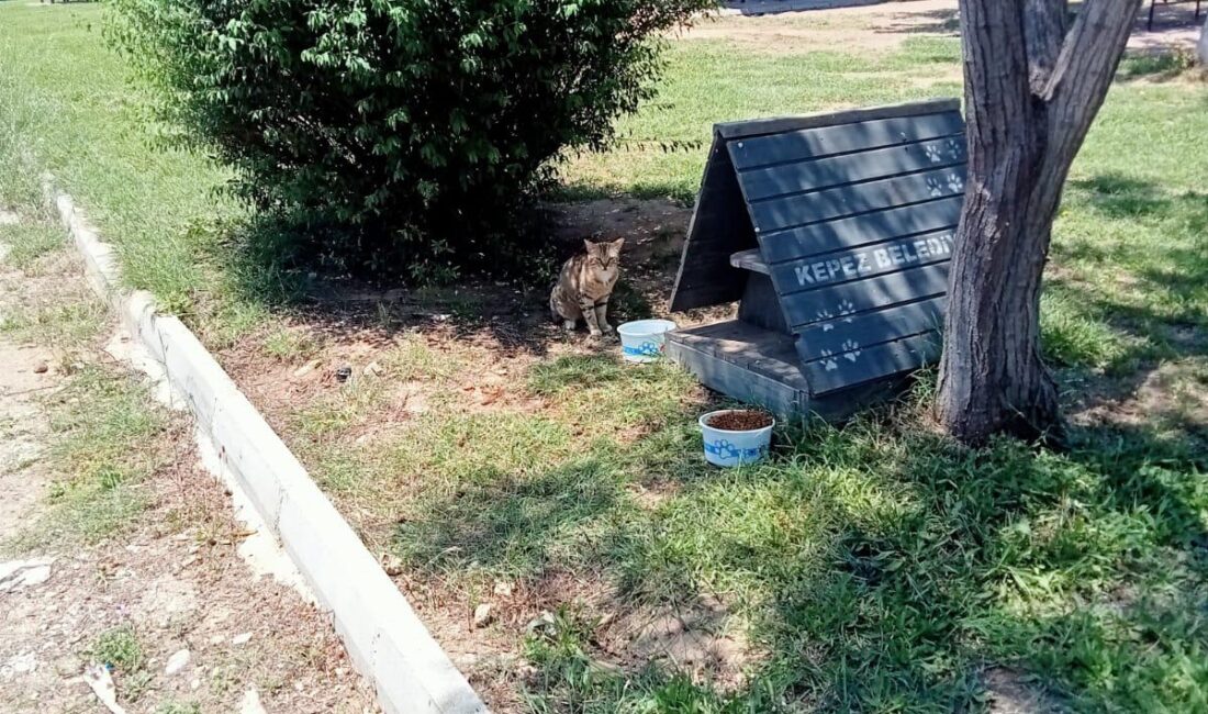 Kepez Belediyesi hava sıcaklıklarının