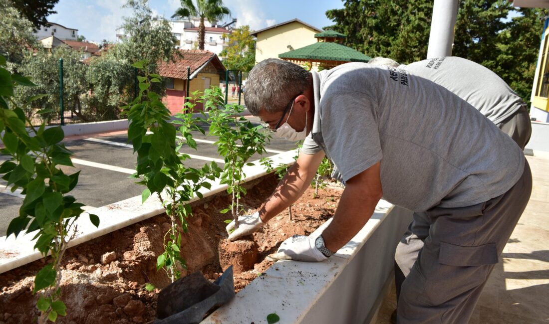 Kepez Belediyesi Park ve