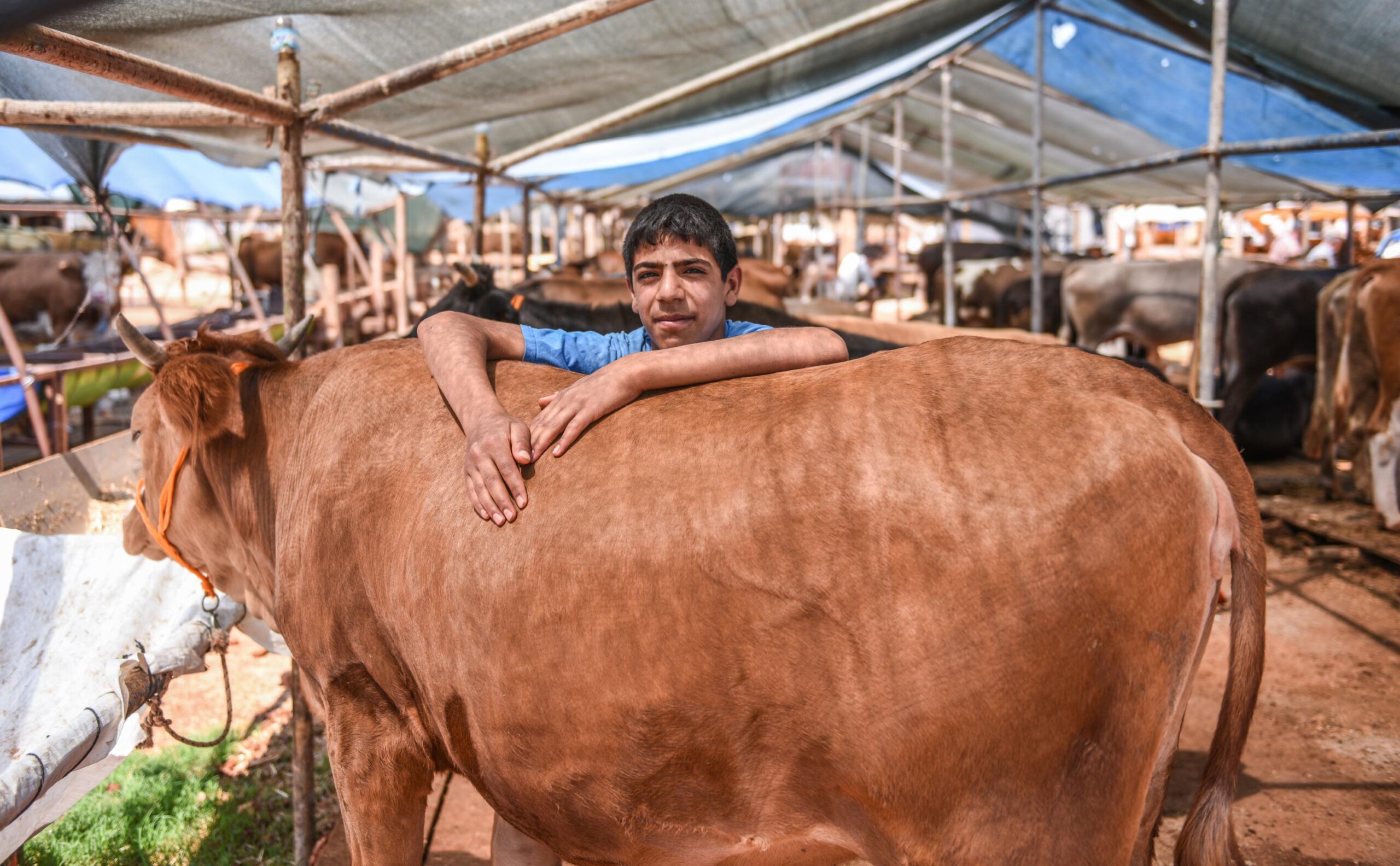 Kepez’den kurban hizmeti