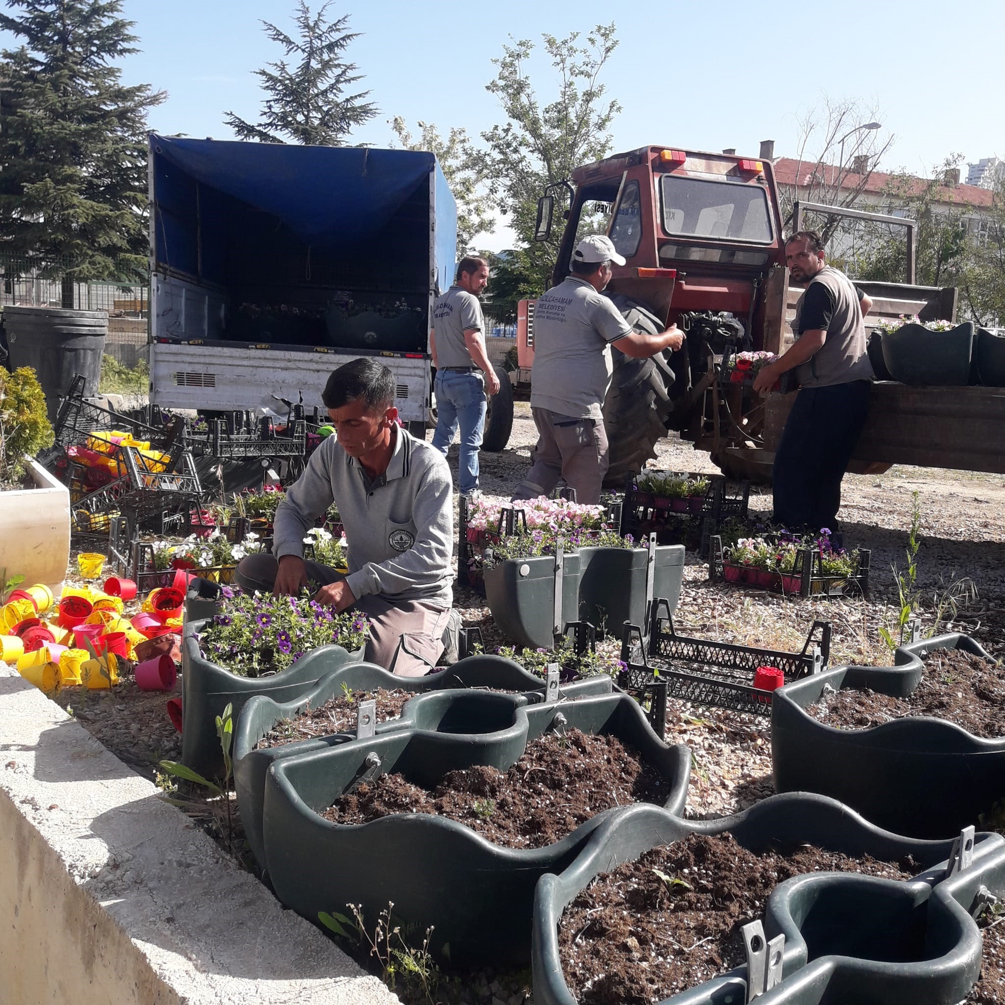 Kızılcahamam Belediyesi 27 bin 507 çiçek ekti