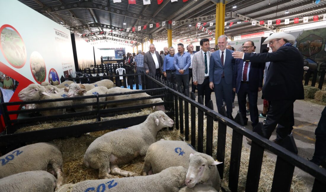 İnegöl Belediyesi’nin bu yıl