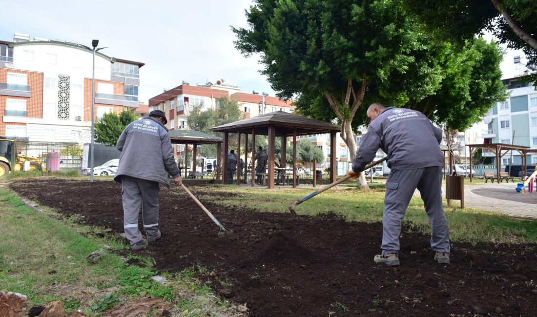 İlçenin birçok noktasında yeni