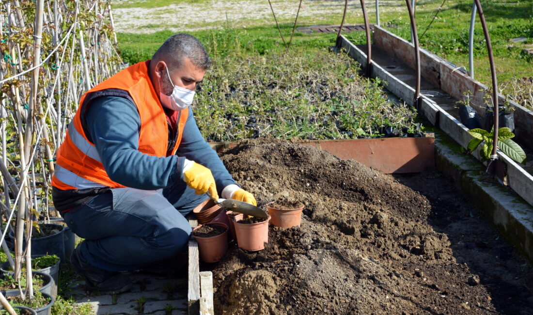 Manavgat Belediyesi, park ve