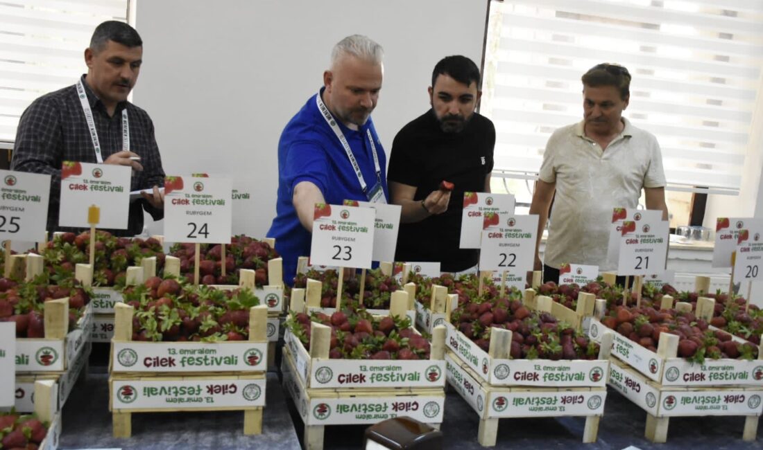 BAŞKENT POSTASI GÜRKAN GENÇ