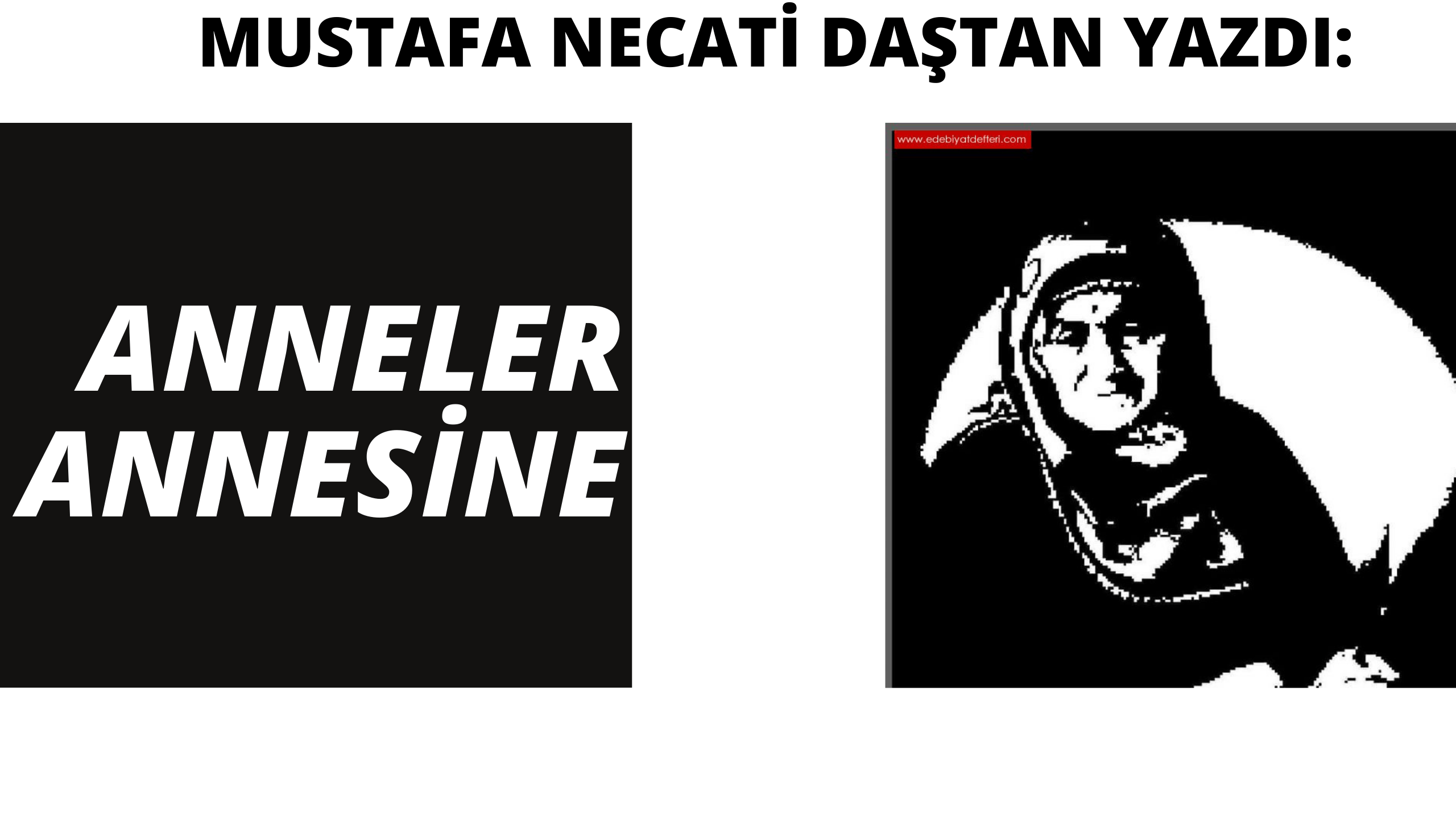 Mustafa Necati Daştan: ANNELERİN ANNESİNE