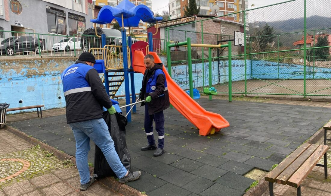 Giresun Belediyesi, şehir genelinde