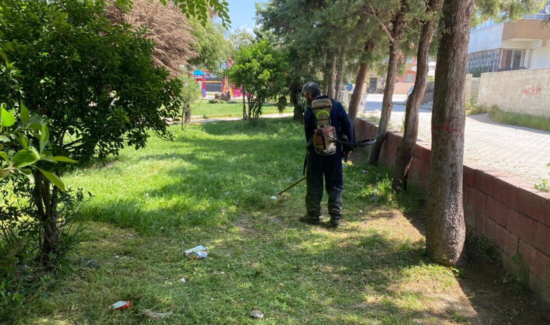 Antakya Belediyesi Park Bahçe