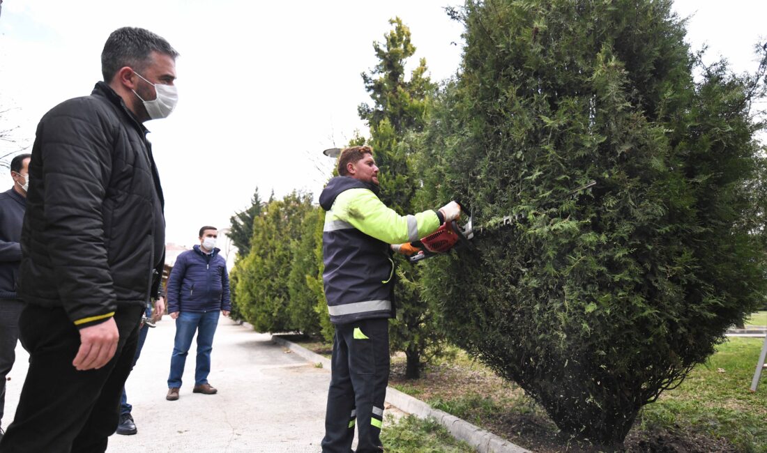 Pursaklar Belediyesi, mahallelerde bulunan