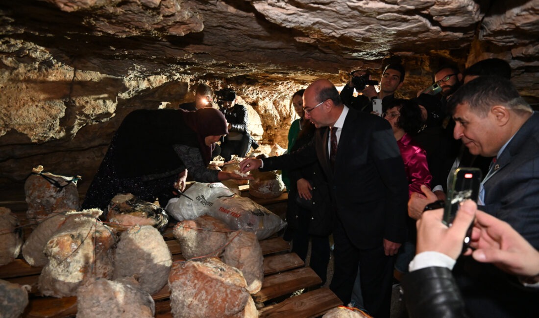 Selçuklu Belediyesi tarafından kırsal