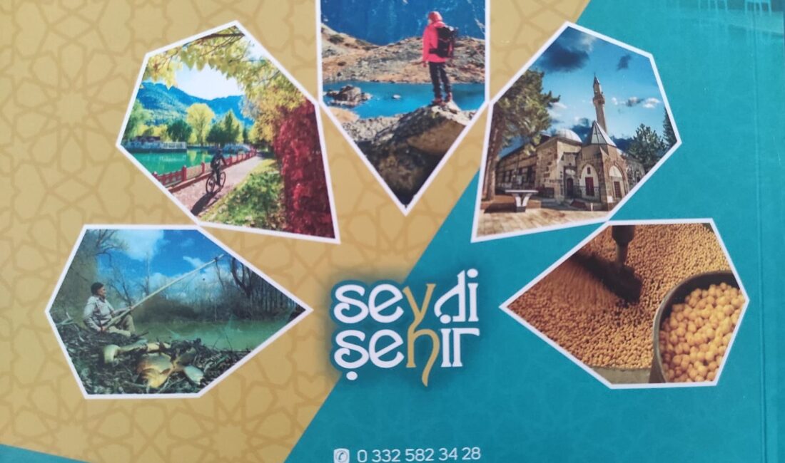 Seydişehir Belediyesi, kültürel belediyecilik