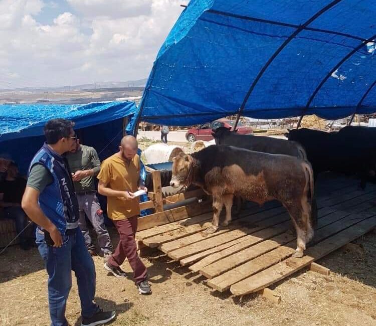 Sincan'da Çimşit ve Yenikent'te