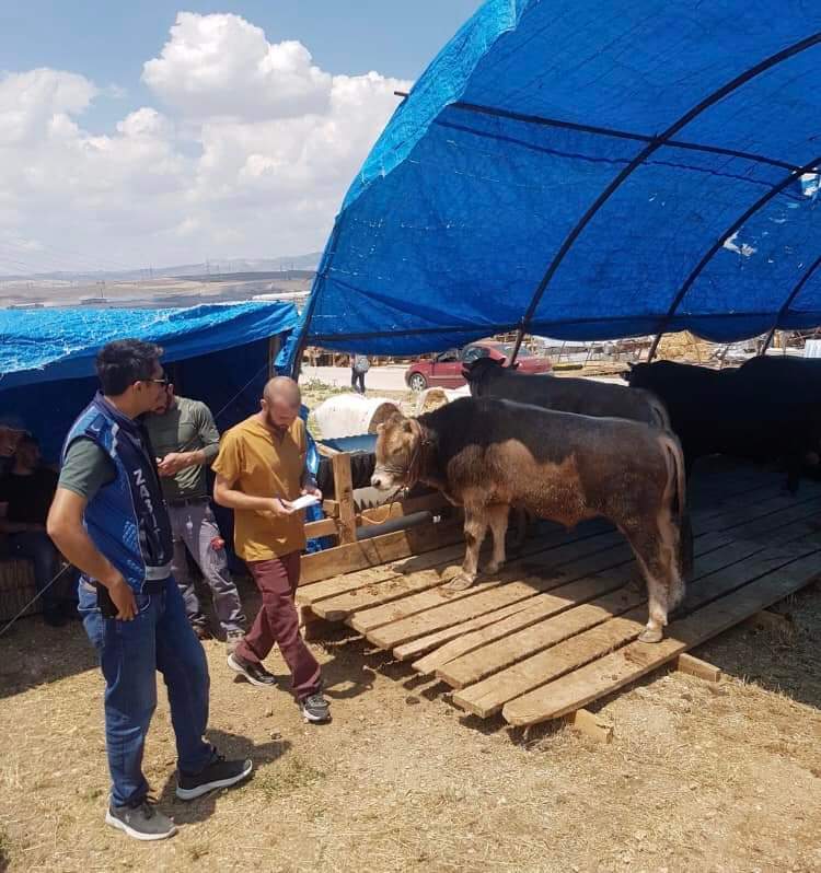 SİNCAN’DA KURBAN PAZAR VE KESİM ALANLARI HAZIR