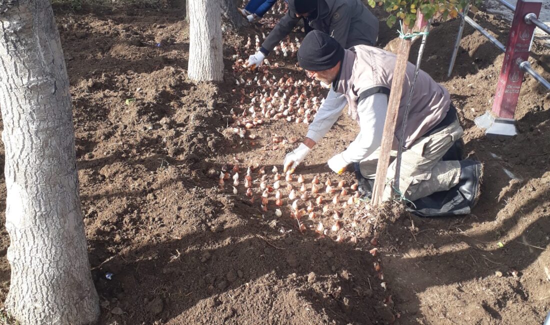 Sincan’da bu aralar tatlı