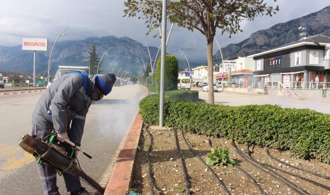 Antalya Büyükşehir Belediyesi, merkez