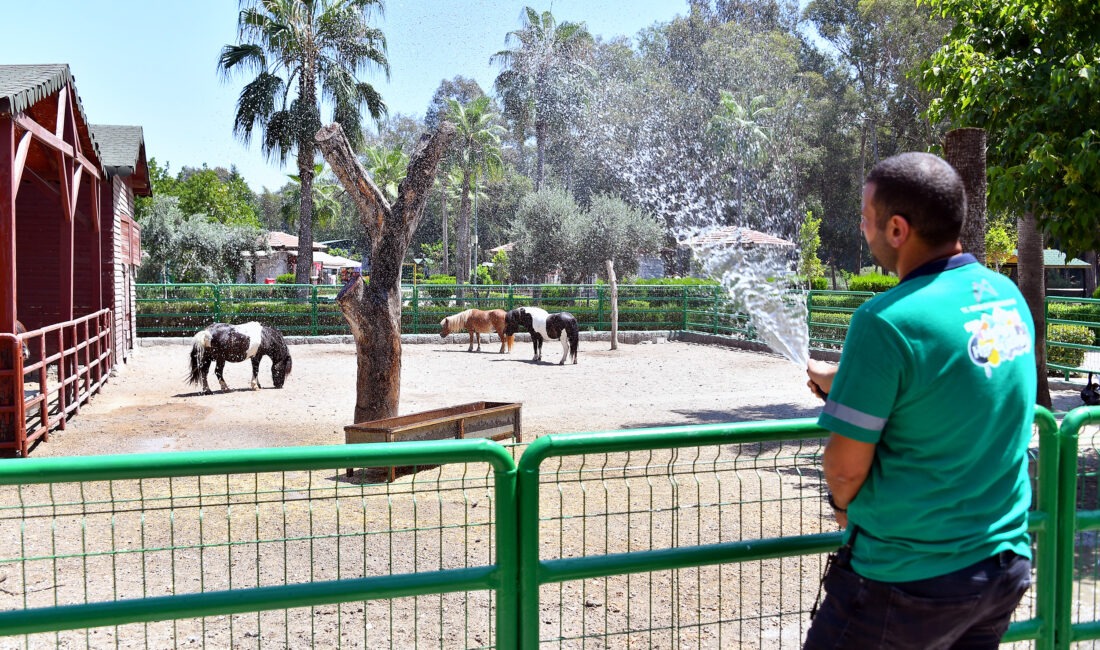 Mersin Büyükşehir Belediyesi Tarımsal