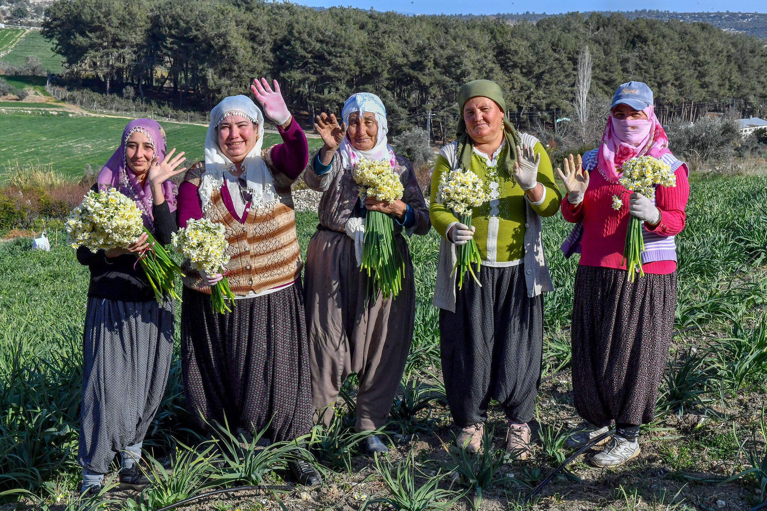 TARSUS NERGİS FESTİVALİ