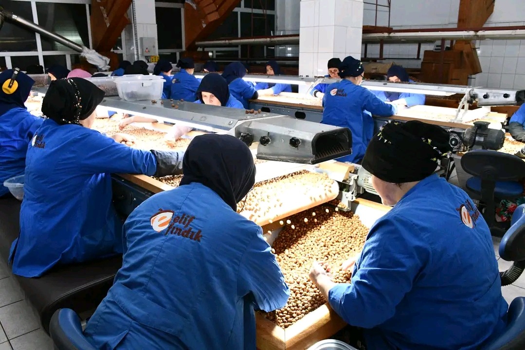 Terme Protokolü'nden Fabrikalara Ziyaret