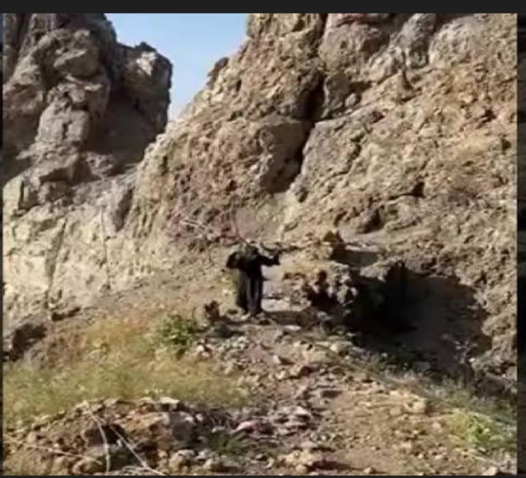 TERÖRİSTLER MEHMETÇİK'TEN KAÇAMIYORLAR