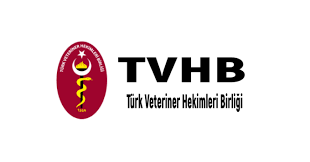 TVHB MERKEZ KONSEYİ’NİN YENİ YIL MESAJI