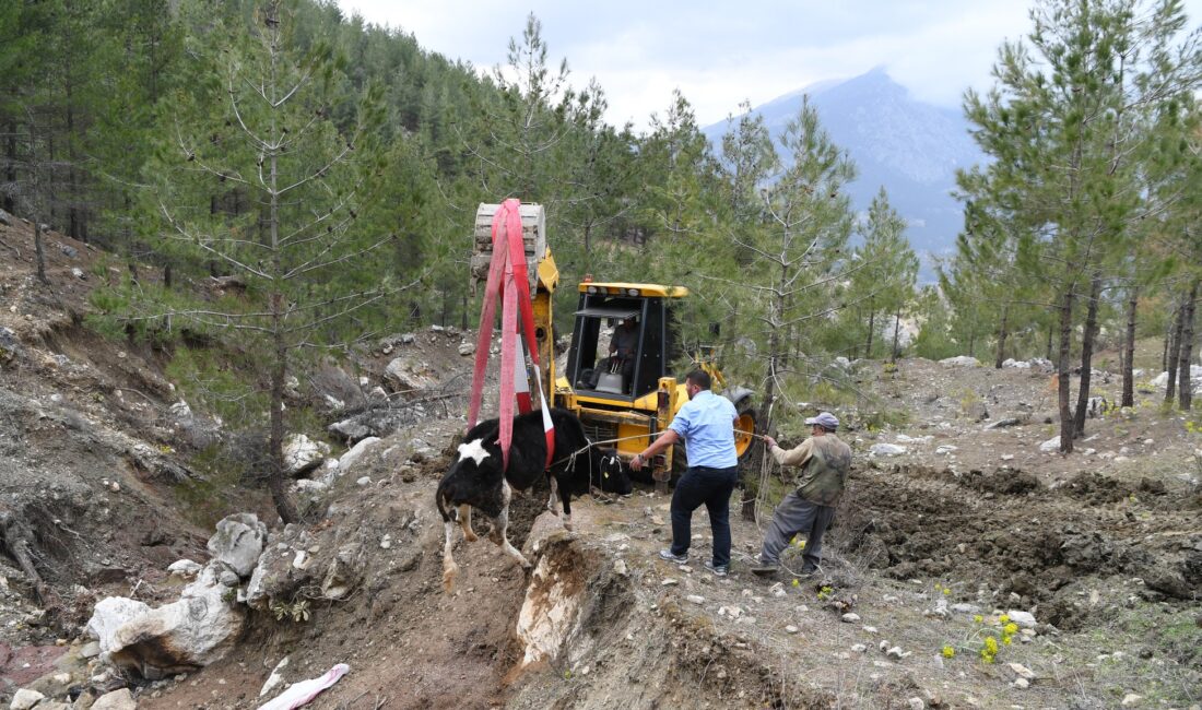 Antalya’nın Konyaaltı ilçesinde uçurumdan