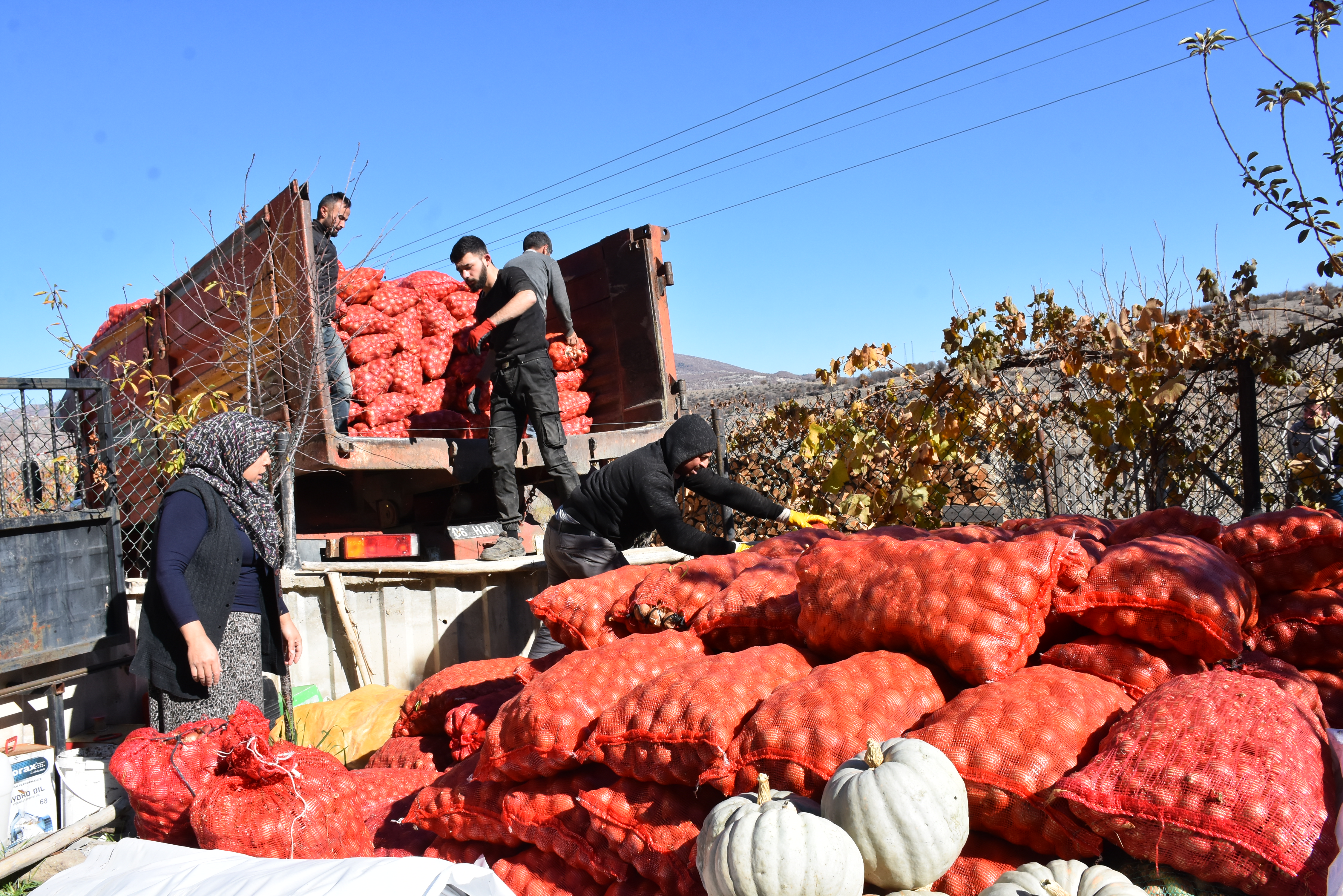 Üretici çiftçilerden satın alınan 25 ton soğan, yardıma muhtaç ailelere ücretsiz dağıtıldı.