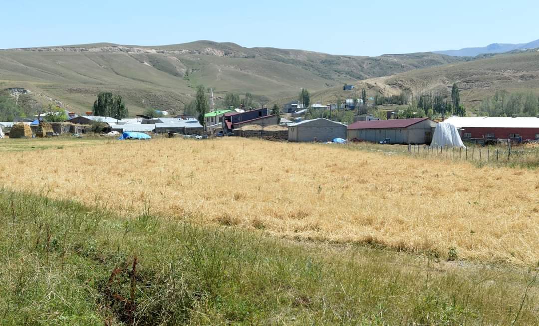 Vali Memiş, dolu afetinden etkilenen tarım arazilerinde incelemede bulundu