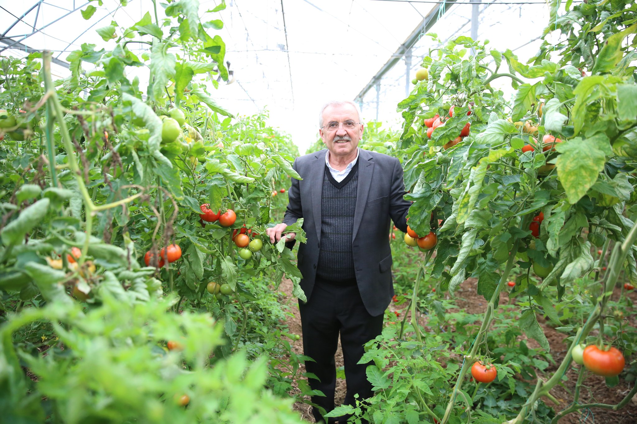 Enver Aputkan Kimdir? Biyografi