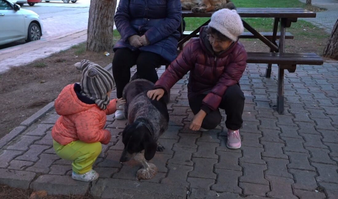 “Ortak yaşam kültürünü korumayı