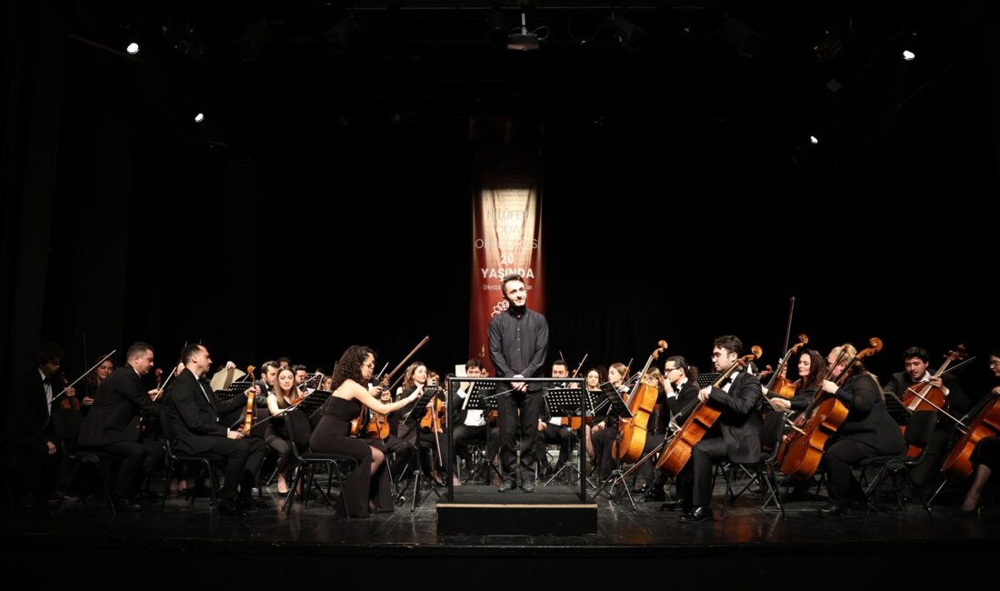 Nilüfer Oda Orkestrası, kuruluşunun